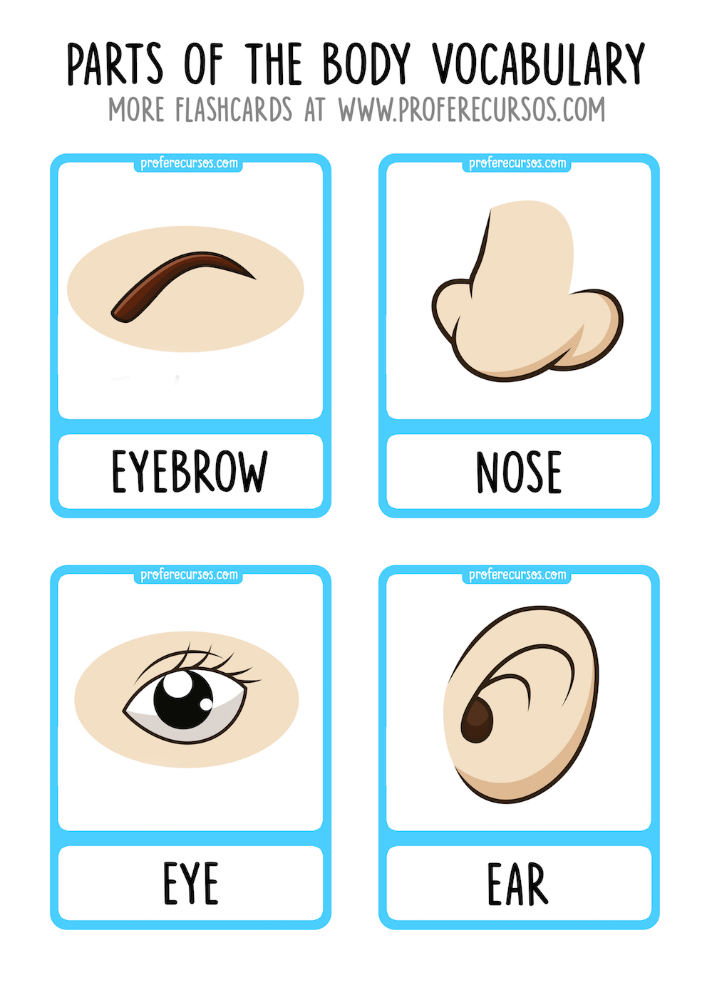 Body Parts Flashcards